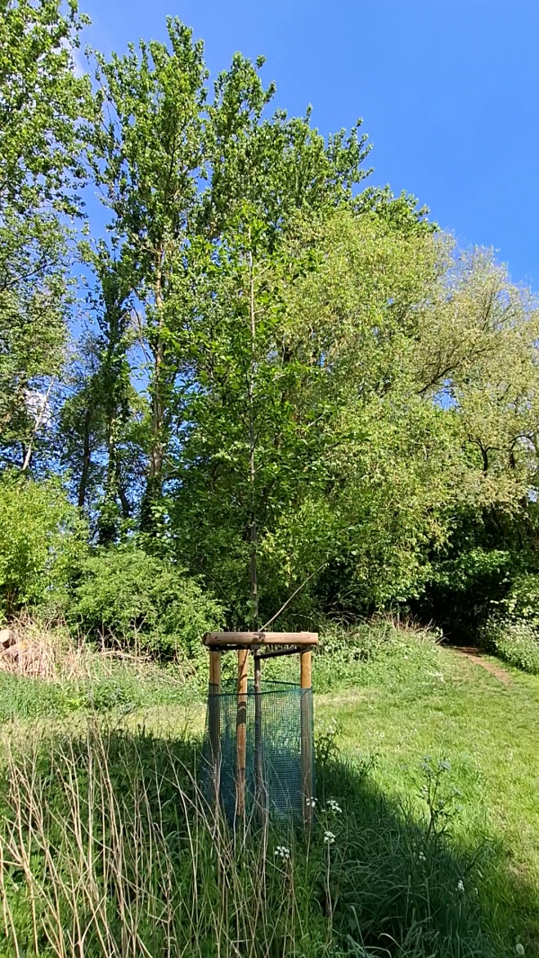 photo contribution