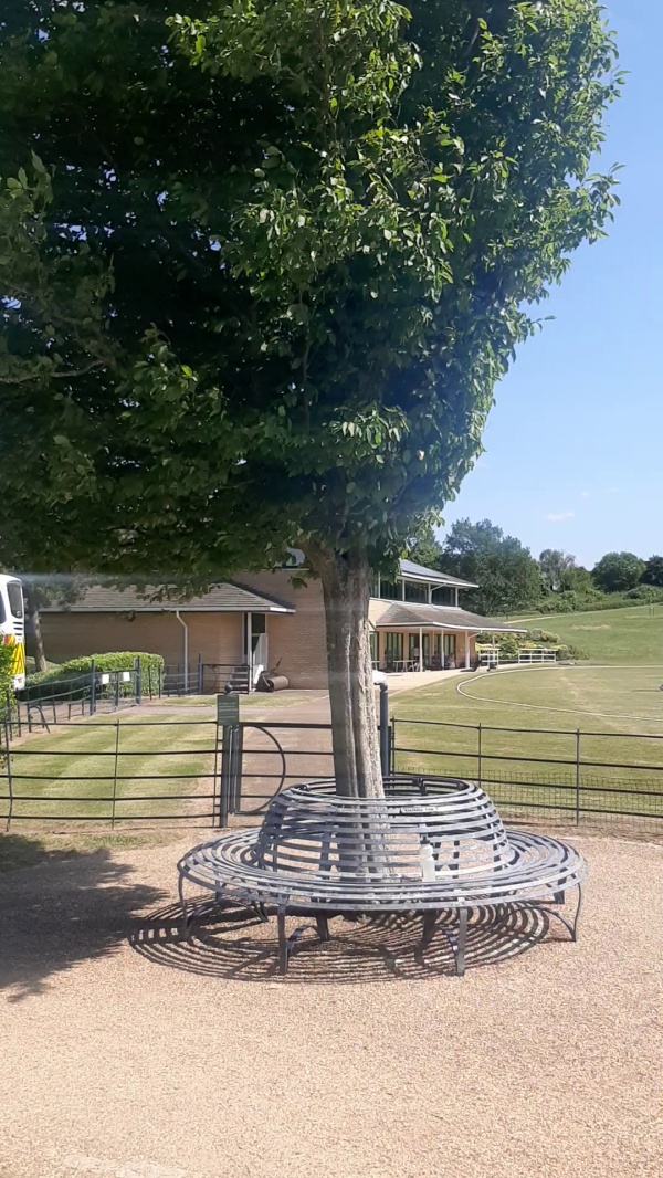 photo de l'arbre
