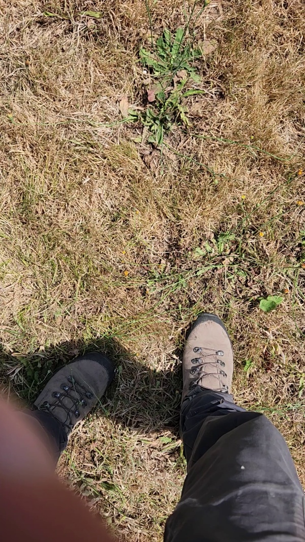 photo contribution